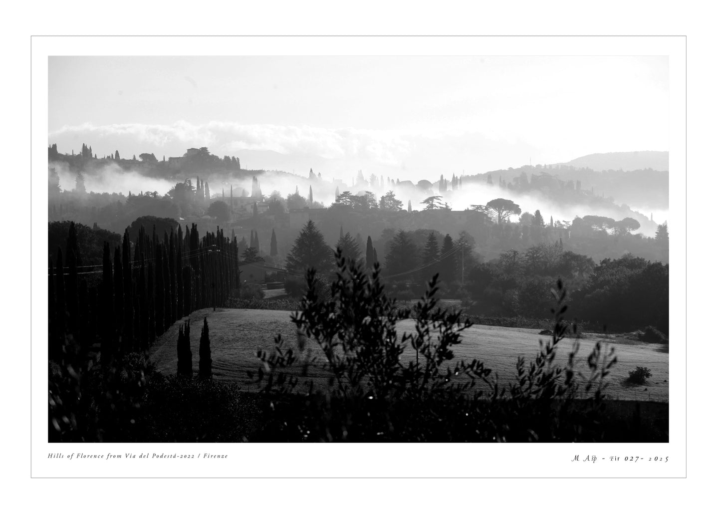 Photo-MAsp -Fir 027-Podestá