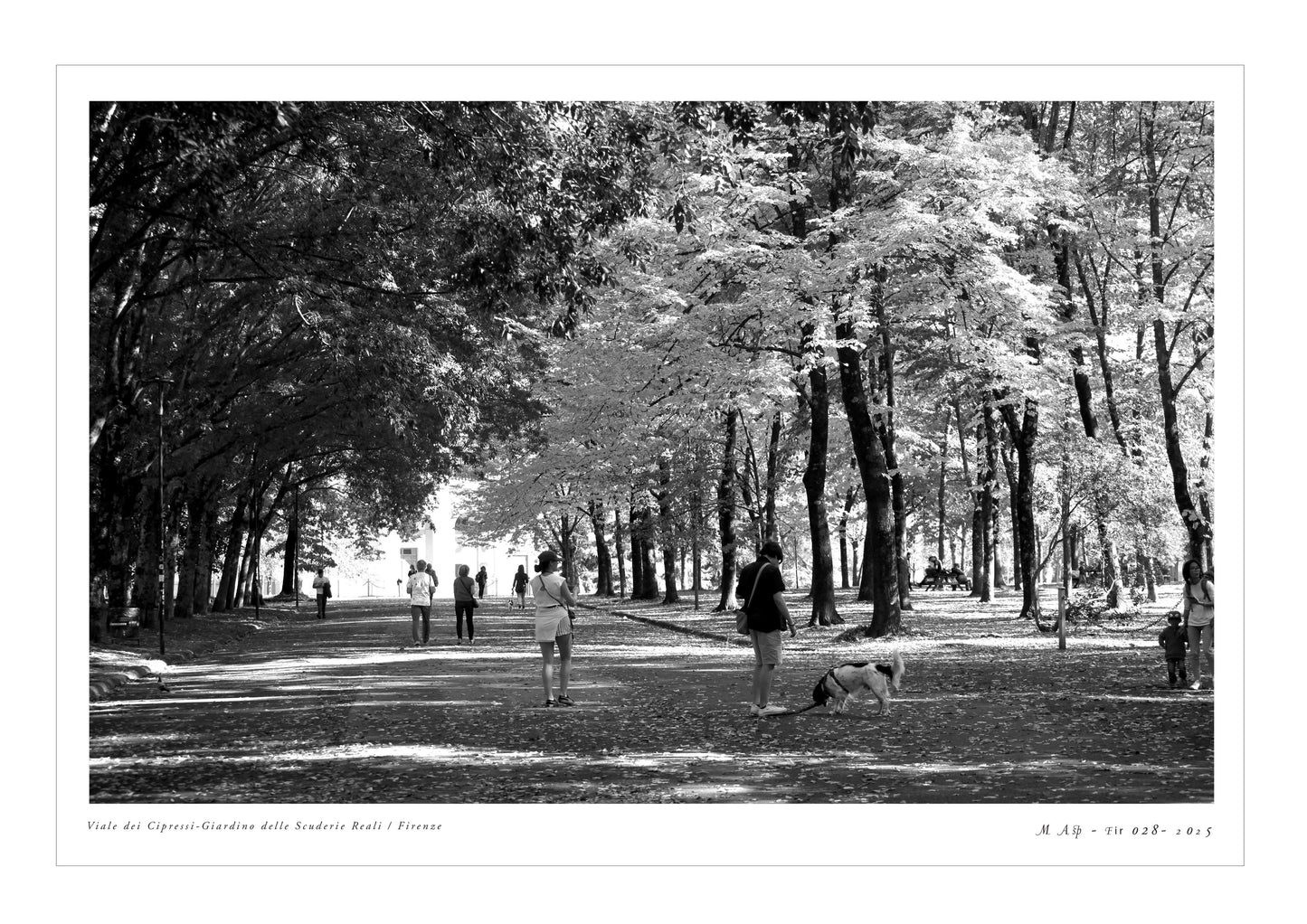 Photo MAsp-Fir 028 Parco Scuderie