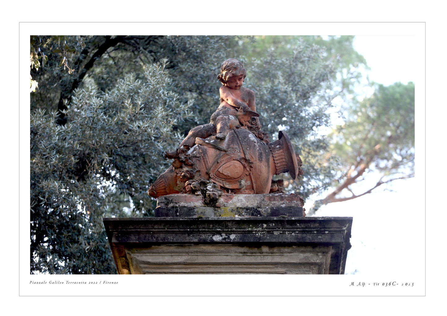 Photo MAsp-Fir 036 Color P.Galileo terracotta