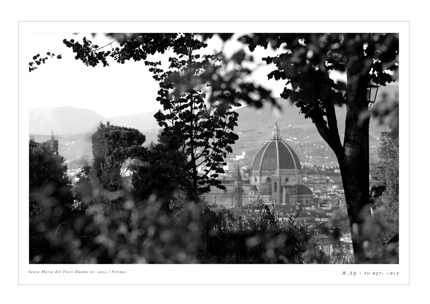 Photo MAsp-Fir 037 S.Maria del Fiori Duomo