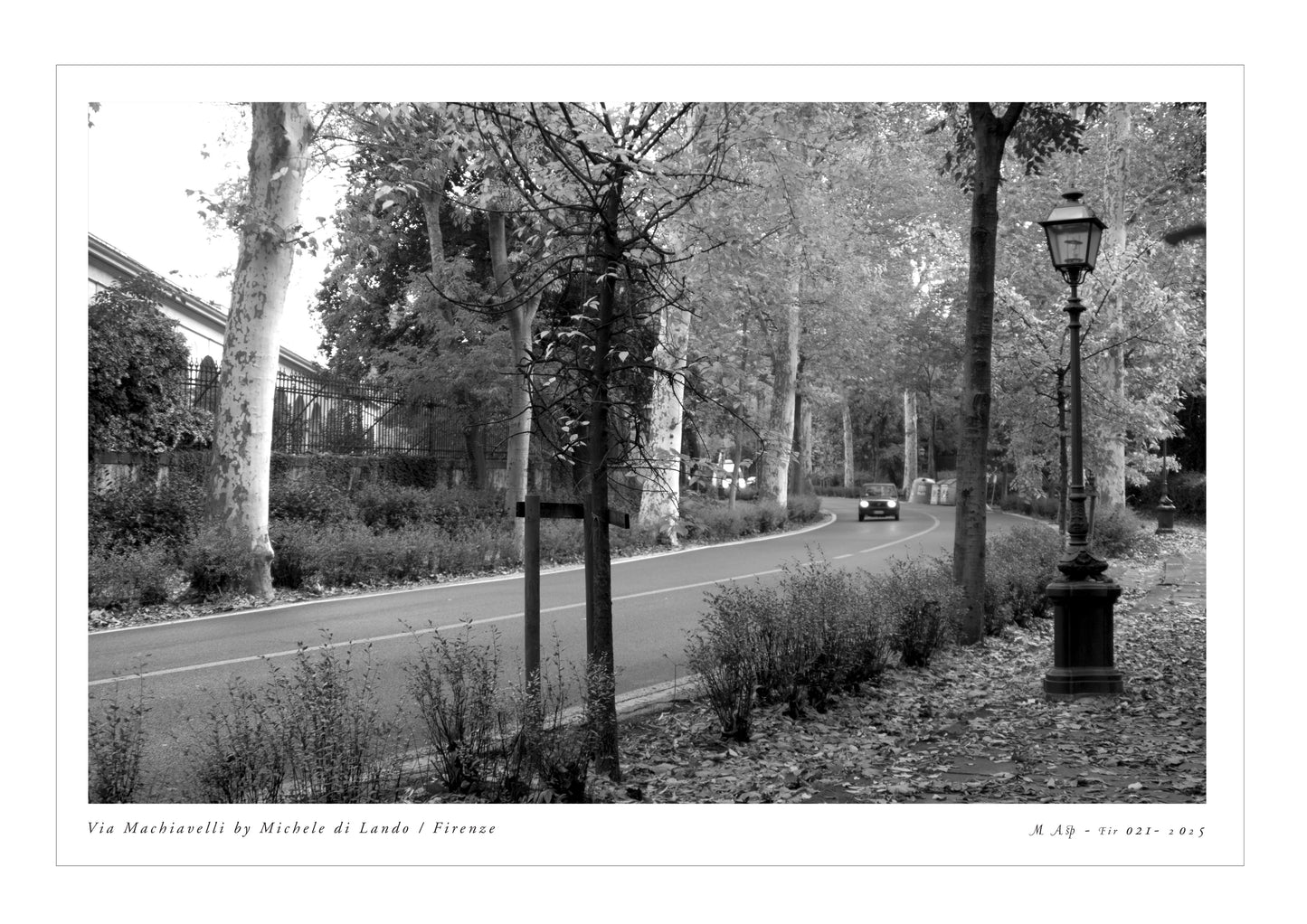 Photo MAsp-Fir Via Machiavelli, Lando 021