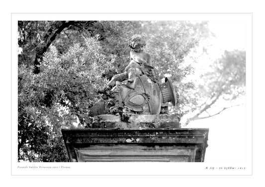 Photo MAsp Fir 036BW P.Galileo terracotta
